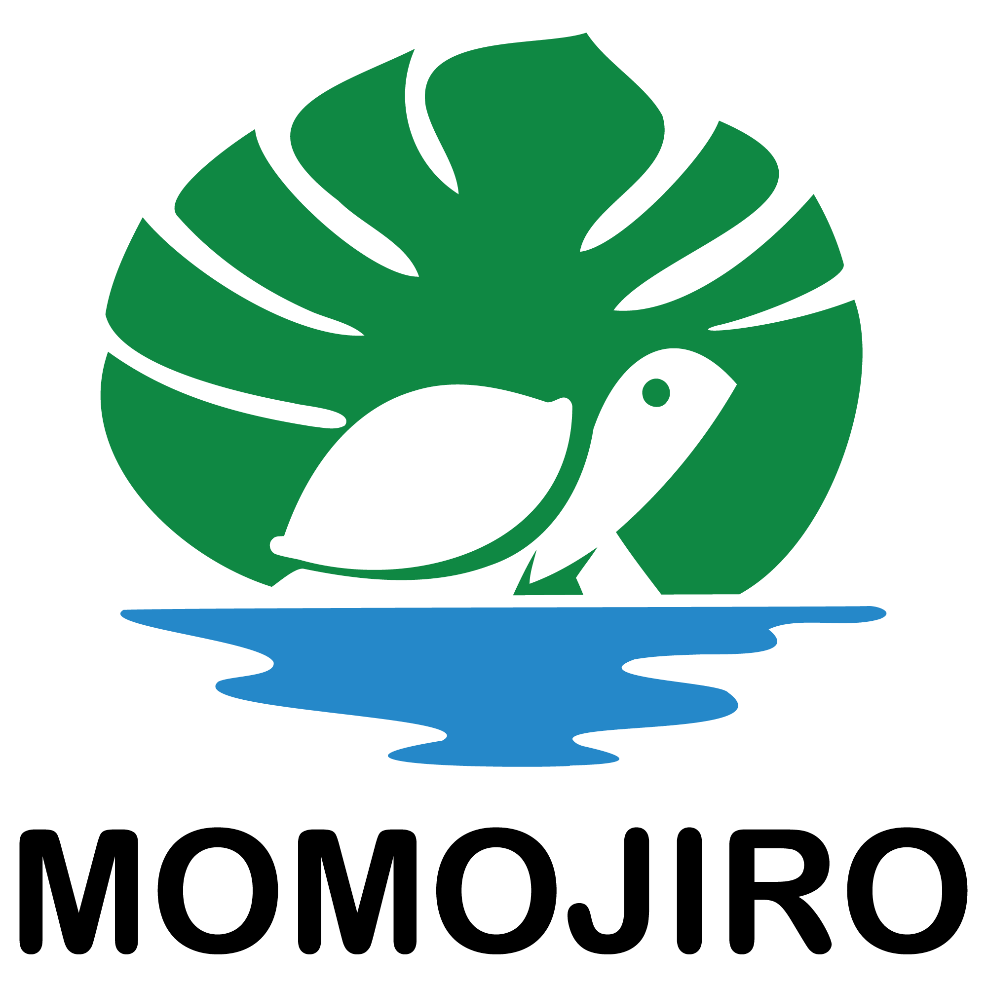 momojiroのあれこれ